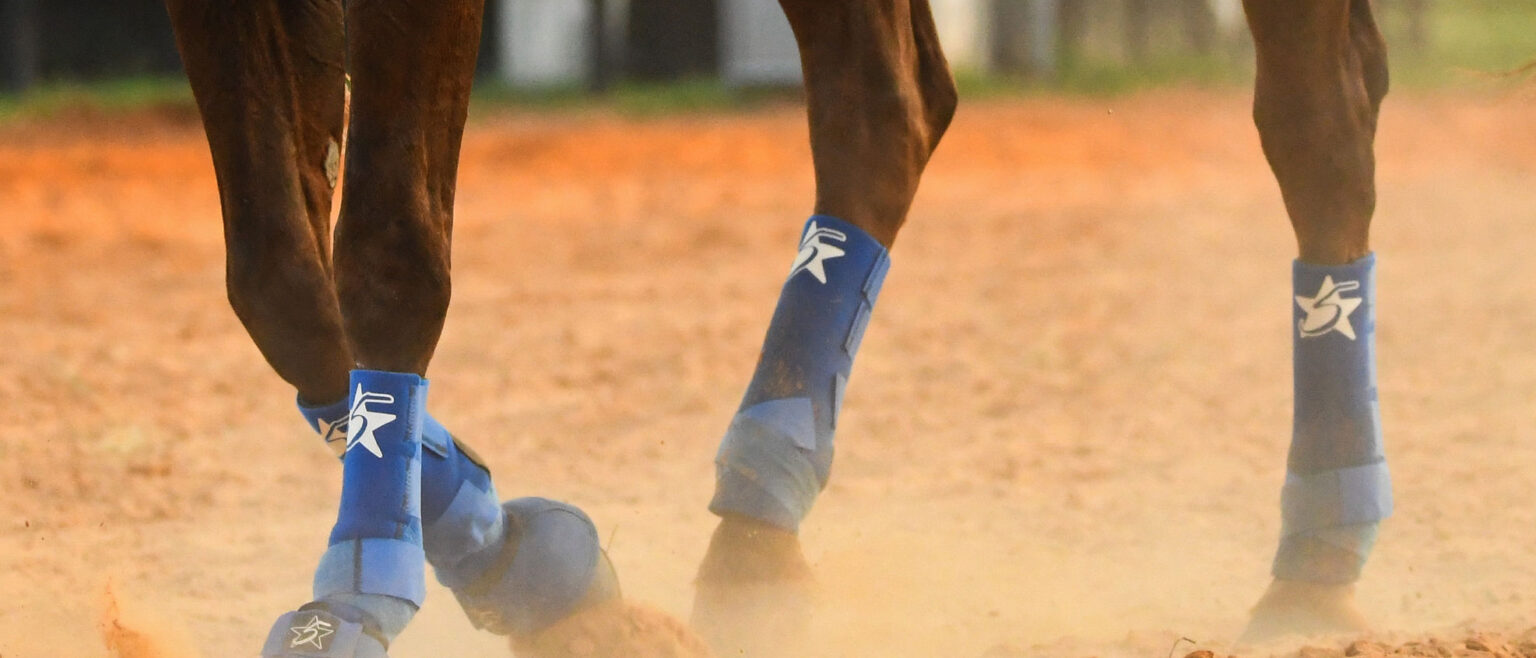 Give ‘Em the Boot – How and why to use protective leg wear to protect your champion